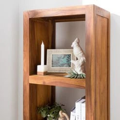 Ars Natura Regal Ohio I - Sheesham massiv -Wohnzimmermöbel boutique en ligne 1000008737 210518 15225400020 DETAILS P000000001000008737