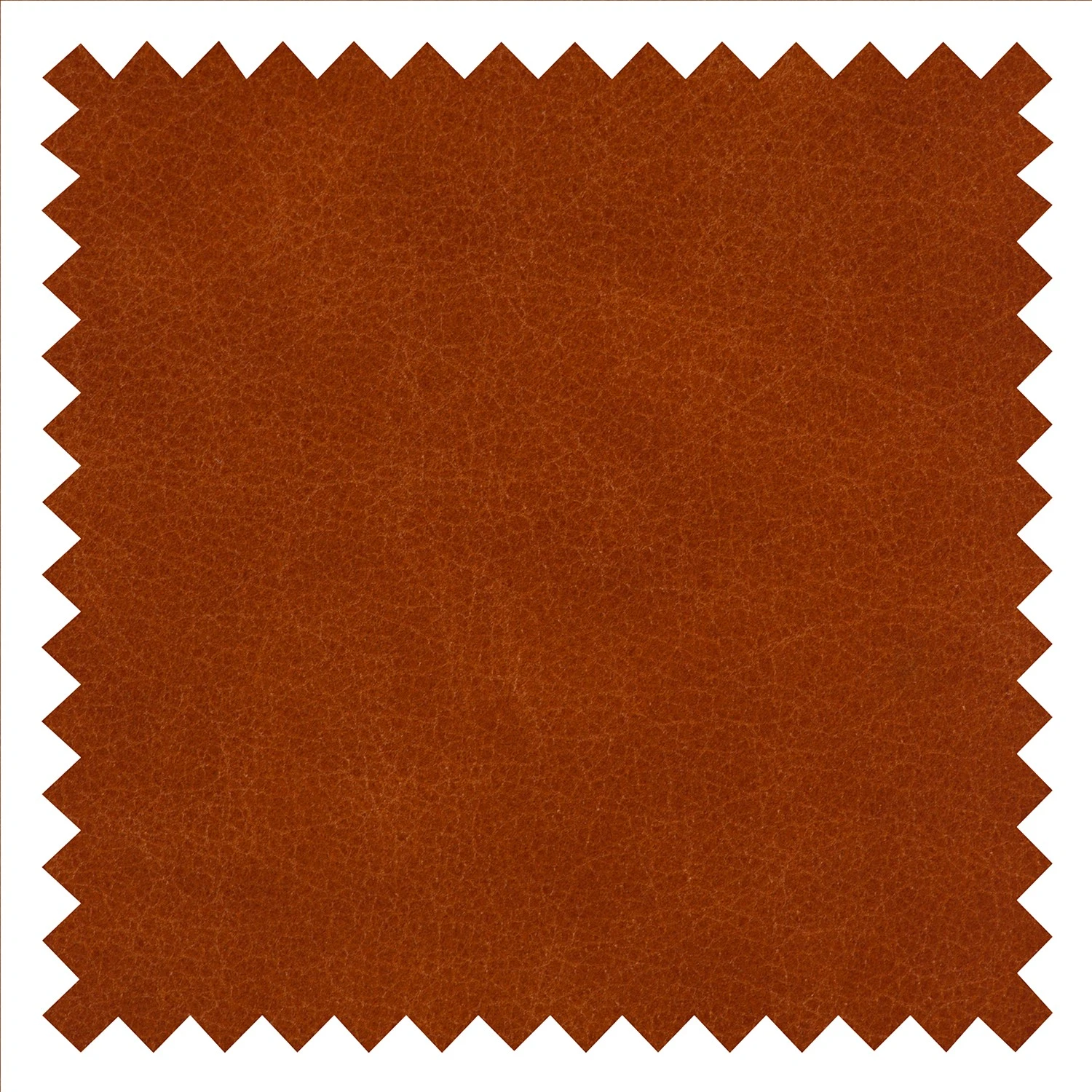 Maison Belfort Sessel Sweetwater Echtleder - Cognac 10 Maison Belfort Sessel Sweetwater Echtleder - Cognac – Bild 10