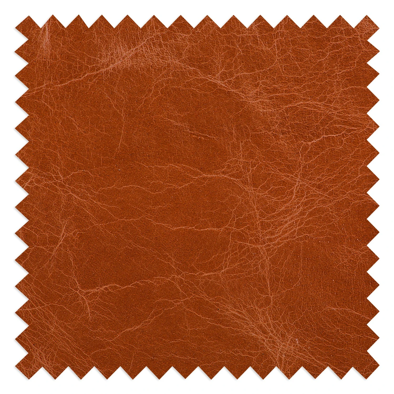 Ars manufacti Sofa Horley (3-Sitzer) Echtleder - Vintage Cognac 18 Ars manufacti Sofa Horley (3-Sitzer) Echtleder - Vintage Cognac – Bild 18