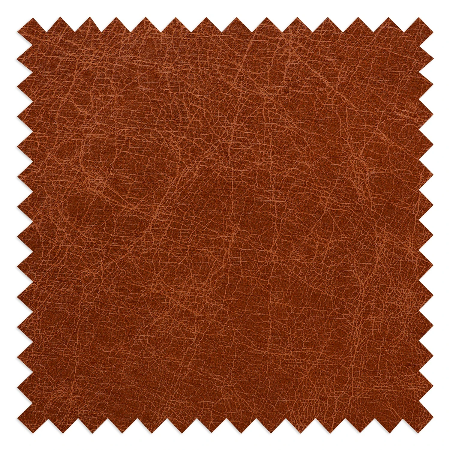 Ars manufacti Sofa Horley (2-Sitzer) Echtleder - Vintage Cognac 12 Ars manufacti Sofa Horley (2-Sitzer) Echtleder - Vintage Cognac – Bild 12