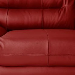 Cotta Sofa Doug (2-Sitzer) Echtleder - Rot -Wohnzimmermöbel boutique en ligne 1000028273 090 GALLERYIMAGES P000000001000028273