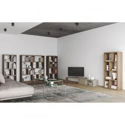 Temahome TV-Lowboard Echo - Grau / Walnuss -Wohnzimmermöbel boutique en ligne 1000094994 180712 10470168 MOOD GALLERYIMAGES P000000001000094994 mood