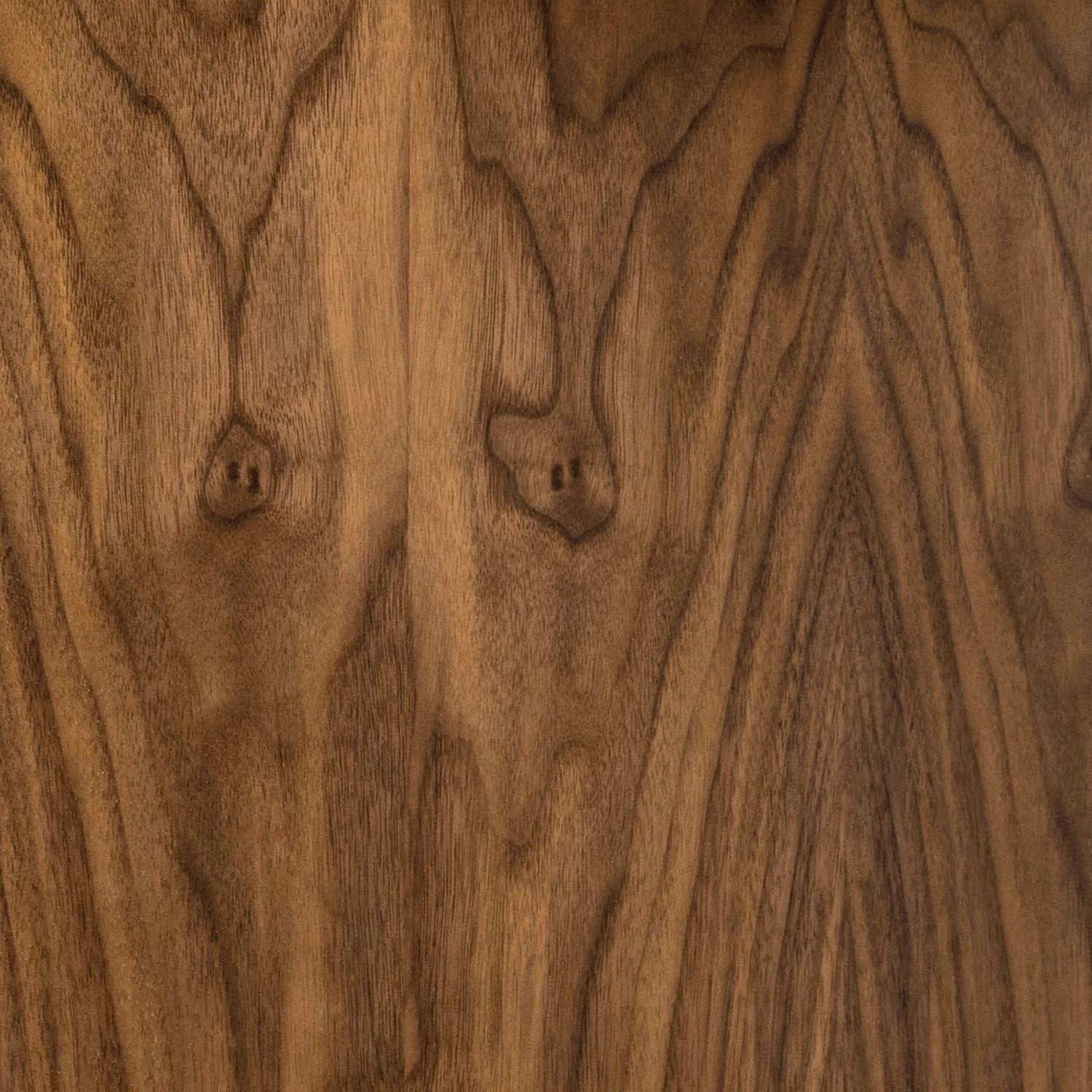 Temahome TV-Lowboard Dixie - Walnuss / Schwarz 9 Temahome TV-Lowboard Dixie - Walnuss / Schwarz – Bild 9