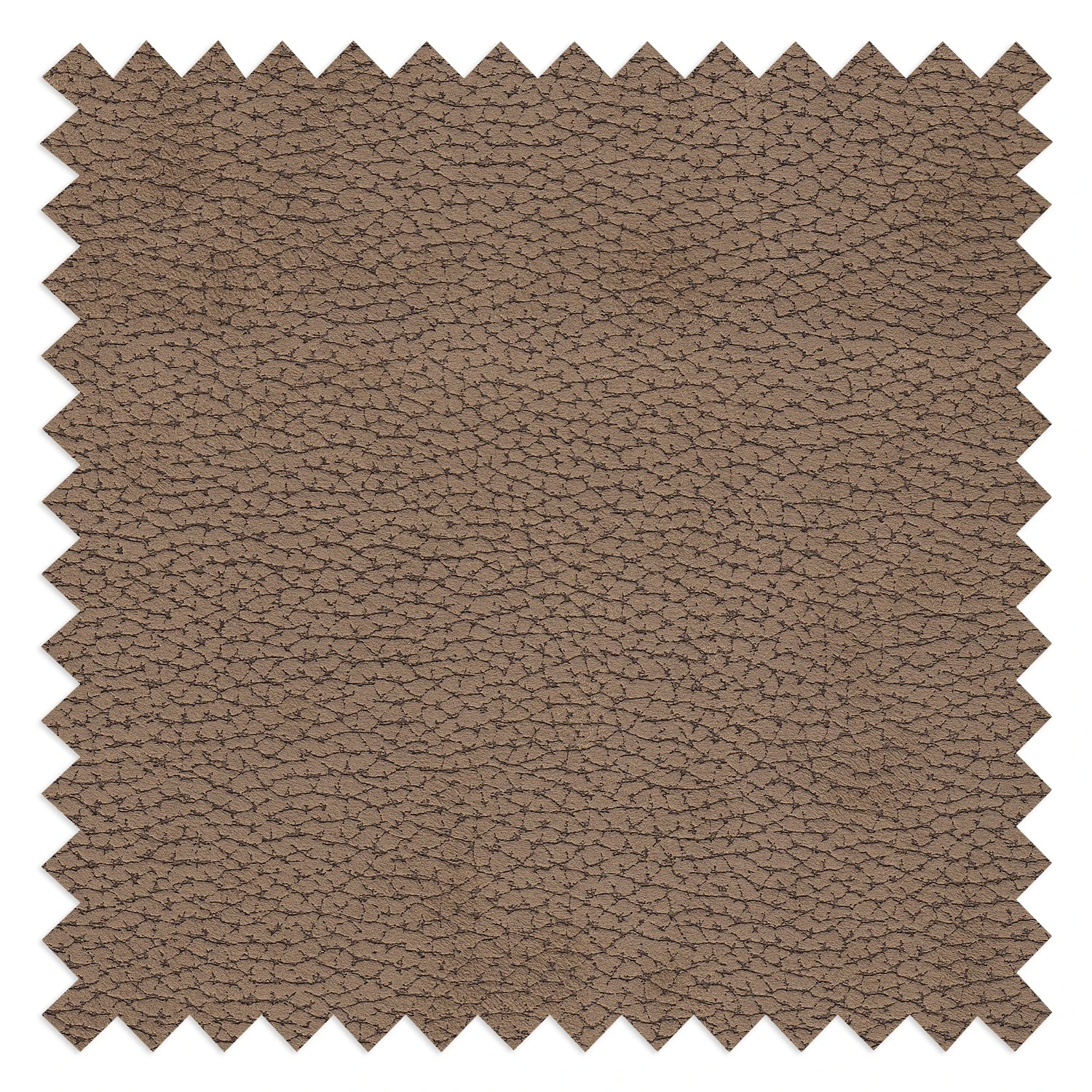 Modoform Relaxsessel Wishart - Mikrofaser - Braun 9 Modoform Relaxsessel Wishart - Mikrofaser - Braun – Bild 9