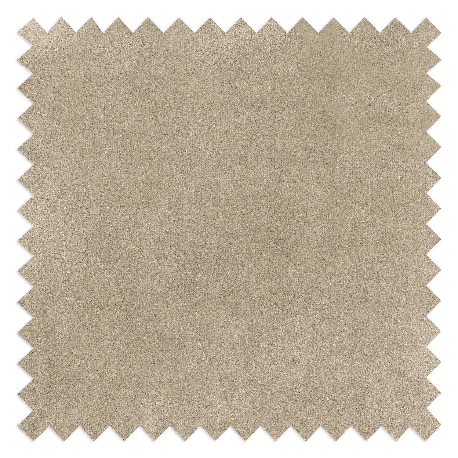 Sessel Kinx II - Samt - Samt Shyla: Beige 11 Sessel Kinx II - Samt - Samt Shyla: Beige – Bild 11