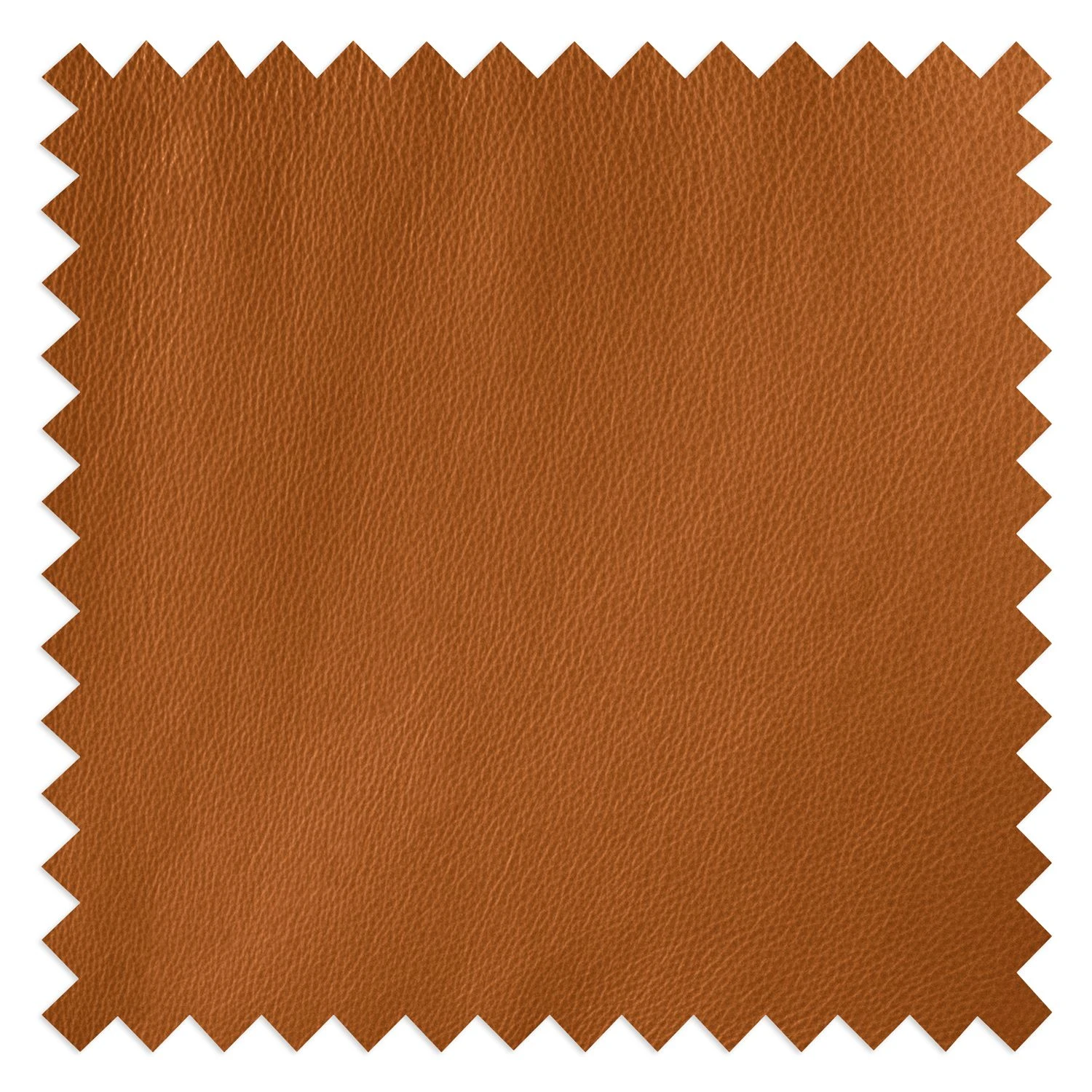 Studio Copenhagen Sessel TIMON - Echtleder Neka: Cognac 15 Studio Copenhagen Sessel TIMON - Echtleder Neka: Cognac – Bild 15