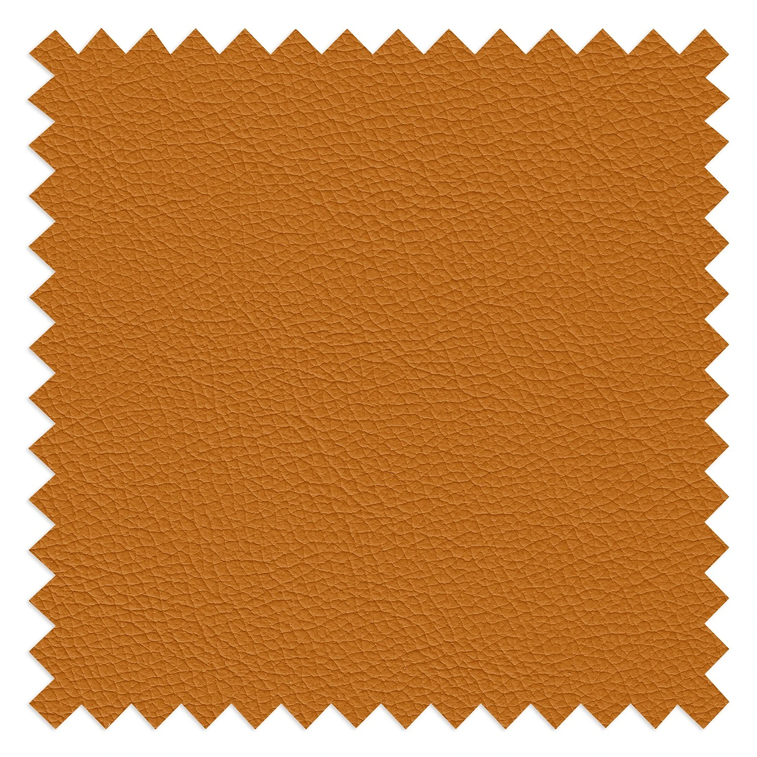 Fredriks Sessel Lutz II - Echtleder - Goldbraun 13 Fredriks Sessel Lutz II - Echtleder - Goldbraun – Bild 13