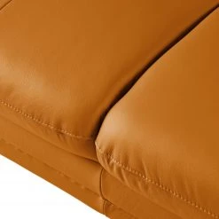Fredriks Sofa Lutz II (2-Sitzer) - Echtleder - Goldbraun -Wohnzimmermöbel boutique en ligne 1000167397 210323 15223401536 DETAILS P000000001000167397