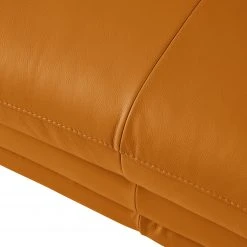 Fredriks Sofa Lutz II (2-Sitzer) - Echtleder - Goldbraun -Wohnzimmermöbel boutique en ligne 1000167397 210323 15223401537 DETAILS P000000001000167397