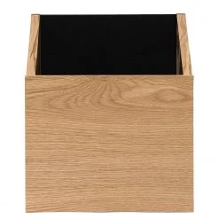 Temahome Regal One - Eiche / Schwarz 23 Temahome Regal One - Eiche / Schwarz -Wohnzimmermöbel boutique en ligne 1000172899 201016 13321400416 DETAILS P000000001000172899