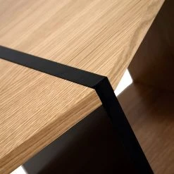 Temahome Regal One - Eiche / Schwarz 32 Temahome Regal One - Eiche / Schwarz -Wohnzimmermöbel boutique en ligne 1000172899 201016 13323700425 DETAILS P000000001000172899