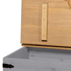 Maison Belfort Truhe Finca Rustica - Kiefer massiv - Kiefer Grau 13 Maison Belfort Truhe Finca Rustica - Kiefer massiv - Kiefer Grau -Wohnzimmermöbel boutique en ligne 1000178039 200320 14544800023 DETAILS P000000001000178039