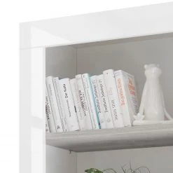 LC Spa Regal Urbino - Hellgrau / Weiß 16 LC Spa Regal Urbino - Hellgrau / Weiß -Wohnzimmermöbel boutique en ligne 1000178464 201029 09101700830 DETAILS P000000001000178464