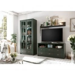 Ridgevalley TV-Lowboard Beauville I - Moosgrün / Gold -Wohnzimmermöbel boutique en ligne 1000196333 191127 09003500069 MOOD DETAILS P000000001000196333 mood