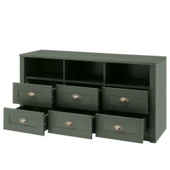 Ridgevalley TV-Lowboard Beauville I - Moosgrün / Gold -Wohnzimmermöbel boutique en ligne 1000196333 191127 09003600072 DETAILS P000000001000196333