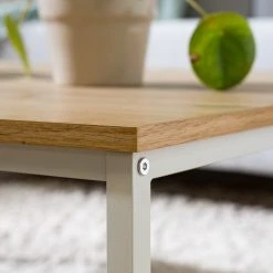 Fredriks Couchtisch Meon - Eiche Dekor -Wohnzimmermöbel boutique en ligne 1000201078 220720 030 DETAILS P000000001000201078