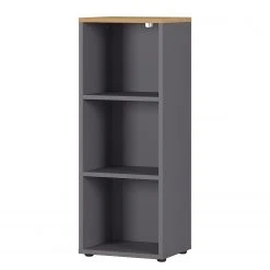 Germania Aktenregal GW-Agenda - Eiche Grandson Dekor / Graphit - 45 x 120 cm