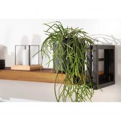 Ars manufacti Wohnkombination Manchester III (3-tlg) - Akazie massiv / Metall - Akazie / Anthrazit -Wohnzimmermöbel boutique en ligne 1000213222 220630 026 MOOD DETAILS P000000001000213222 mood