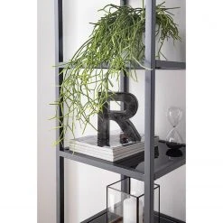 Red Living Regal Barview - Echtholzfurnier - Eiche / Anthrazit -Wohnzimmermöbel boutique en ligne 1000218360 210413 12580300012 DETAILS P000000001000218360