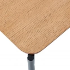 Red Living Beistelltisch Oakton - Echtholzfurnier / Metall - Eiche -Wohnzimmermöbel boutique en ligne 1000228598 201110 12052600006 DETAILS P000000001000228598