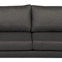 Norrwood Sofa Thegra I (2-Sitzer) - Flachgewebe - Anthrazit -Wohnzimmermöbel boutique en ligne 1000261945 210531 11373200570 DETAILS P000000001000261945