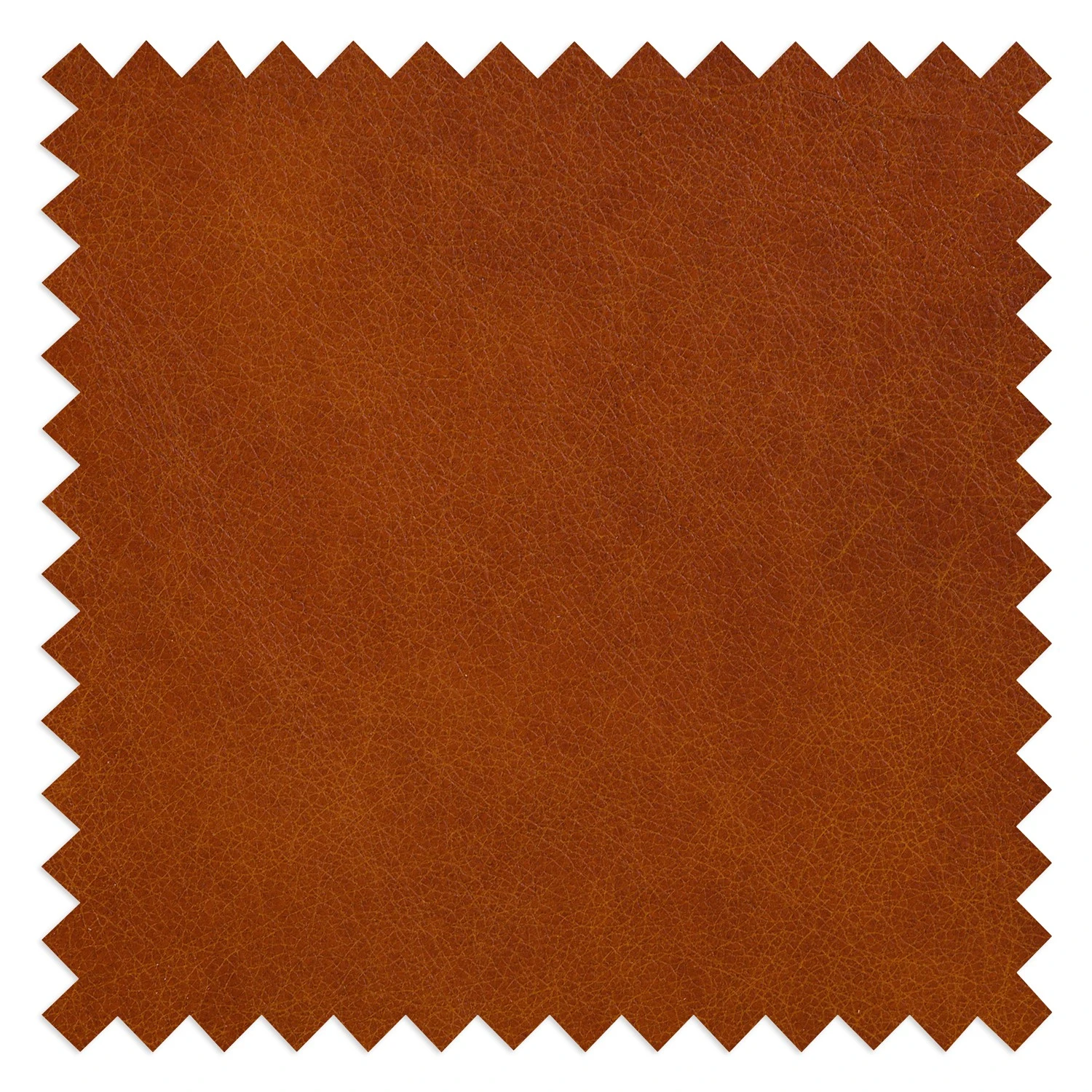 Ars manufacti Ecksofa Neuss - Echtleder - Echtleder Cerys: Cognac - Longchair davorstehend rechts 12 Ars manufacti Ecksofa Neuss - Echtleder - Echtleder Cerys: Cognac - Longchair davorstehend rechts – Bild 12