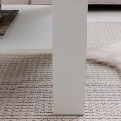 Loftscape Couchtisch Stam - Weiß 10 Loftscape Couchtisch Stam - Weiß -Wohnzimmermöbel boutique en ligne 1000296370 210929 06333000155 DETAILS P000000001000296370