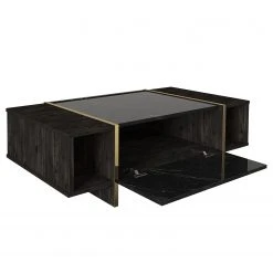 Loftscape Couchtisch Vidal - Marmor Schwarz Dekor / Walnuss Dekor / Gold -Wohnzimmermöbel boutique en ligne 1000333651 220302 031 DETAILS P000000001000333651