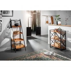 Red Living Regal Ugo II - Mango massiv / Metall - Mango / Schwarz -Wohnzimmermöbel boutique en ligne 1000341970 220331 021 MOOD DETAILS P000000001000341970 mood