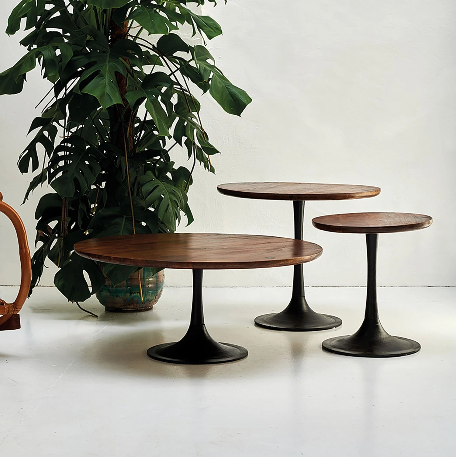 Wohnzimmermöbel boutique en ligne -Wohnzimmermöbel boutique en ligne 1000342420 220325 021 MOOD DETAILS P000000001000342420 mood