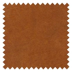 Norrwood Sessel Onaka - Kunstleder Burga: Cognac -Wohnzimmermöbel boutique en ligne 1000343847 220412 100 DETAILS P000000001000343847