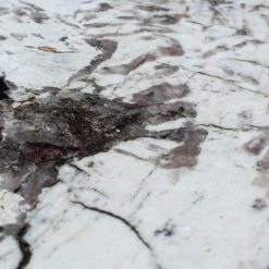 Red Living Beistelltisch Neerpelt - Marmor / Metall - Marmor Weiß / Messing -Wohnzimmermöbel boutique en ligne 1000345816 220428 050 DETAILS P000000001000345816