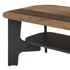 Loftscape Couchtisch Jastrebarsko I - Altholz Dekor 9 Loftscape Couchtisch Jastrebarsko I - Altholz Dekor -Wohnzimmermöbel boutique en ligne 1000347476 220428 031 DETAILS P000000001000347476