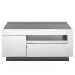 Loftscape Couchtisch Accra - Weiß / Anthrazit -Wohnzimmermöbel boutique en ligne 1000348814 220506 030 DETAILS P000000001000348814