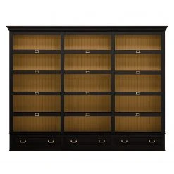 Maison Belfort Regalwand Azjana - Schwarz / Pinie Honig - Ohne Leiter