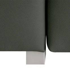 Chillout by Franz Fertig Schlafsofa Plaza Echtleder - Tannengrün - Breite: 178 cm - Keine Funktion -Wohnzimmermöbel boutique en ligne schlafsofa plaza echtleder tannengruen 178 cm gerade armlehnen 1413138