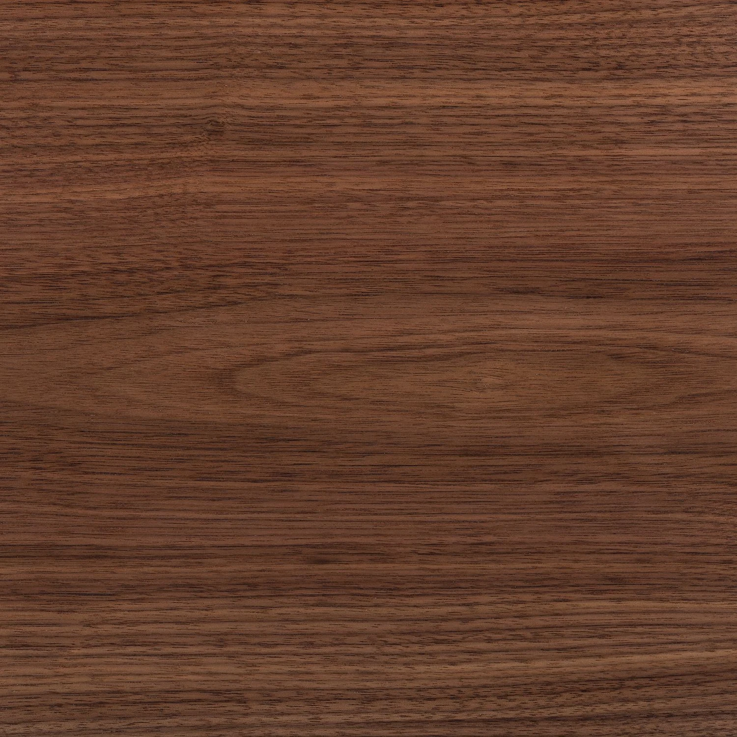 Eva Padberg Collection Sideboard Payara - Echtholzfurnier - Walnuss / Anthrazit 17 Eva Padberg Collection Sideboard Payara - Echtholzfurnier - Walnuss / Anthrazit – Bild 17