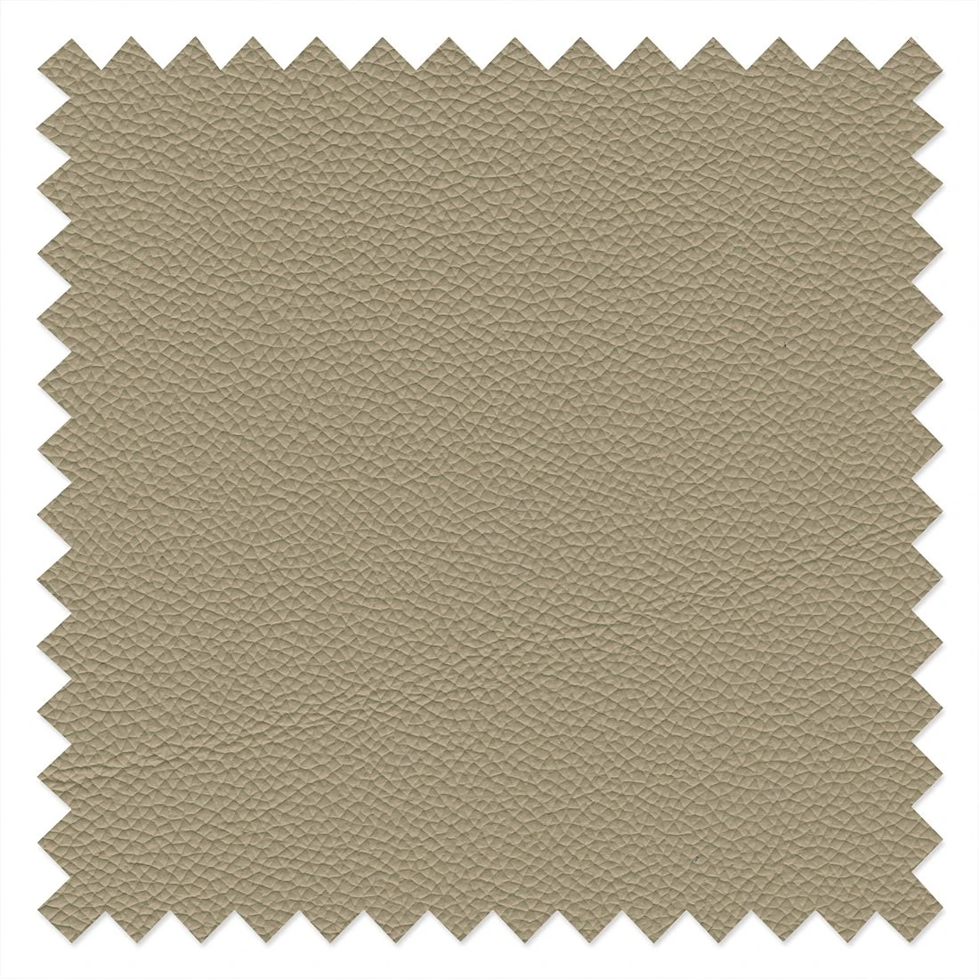 Fredriks Sofa Enzo (2,5-Sitzer) Echtleder Beige - Kopfstütze verstellbar 11 Fredriks Sofa Enzo (2,5-Sitzer) Echtleder Beige - Kopfstütze verstellbar – Bild 11