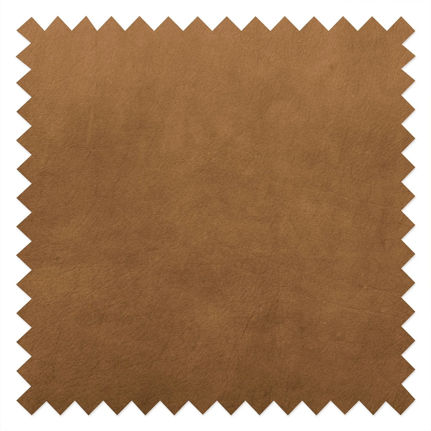 Ars manufacti Sofa Manchester (2-Sitzer) Echtleder - Cognac 10 Ars manufacti Sofa Manchester (2-Sitzer) Echtleder - Cognac – Bild 10