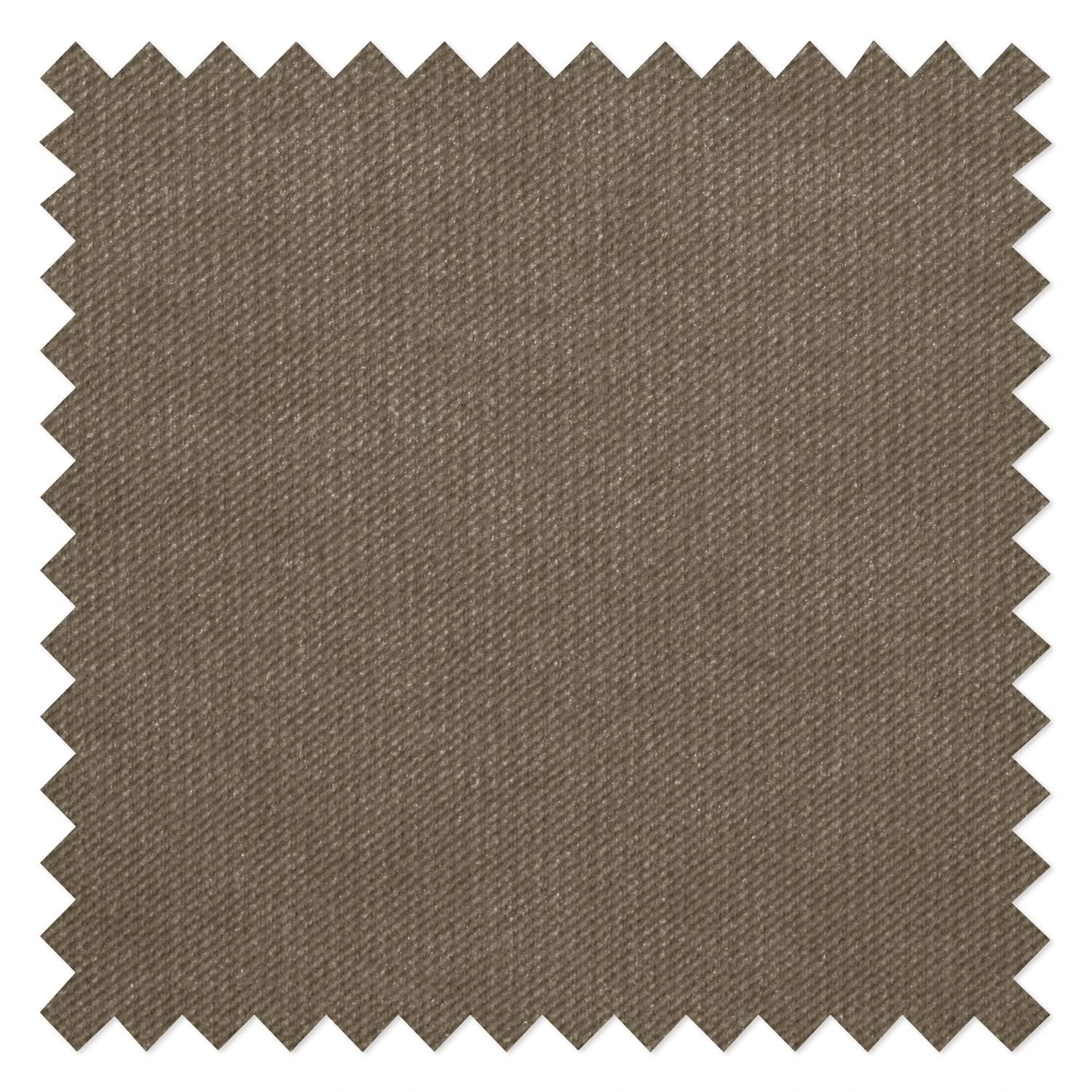 Velvet Studio Sofa Marau (3-Sitzer) - Latte Macchiato 6 Velvet Studio Sofa Marau (3-Sitzer) - Latte Macchiato – Bild 6